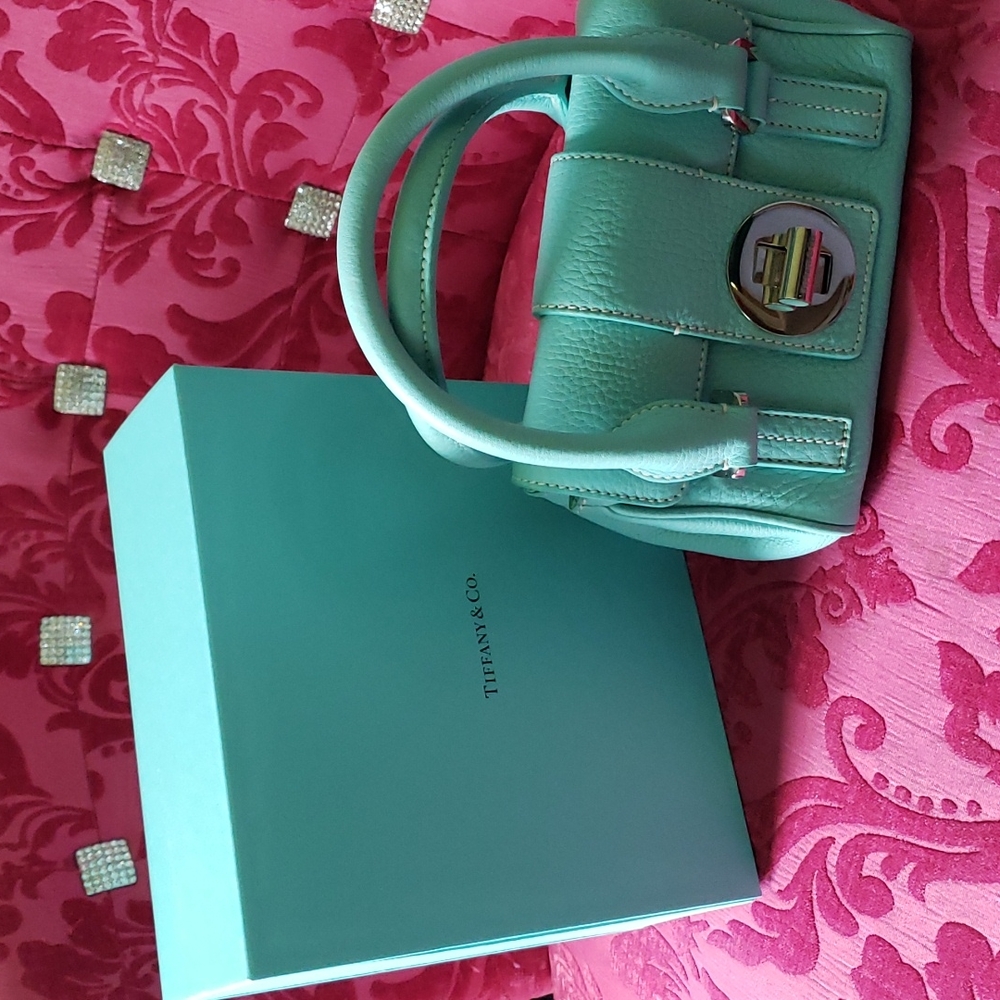 Tiffany and company mini bag